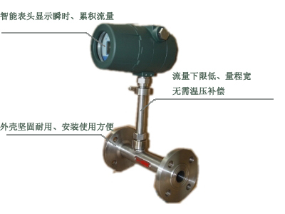 DF-12熱式氣體質(zhì)量流量計(jì)